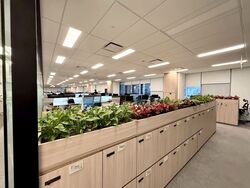 Capitasky (D1), Office #575446181